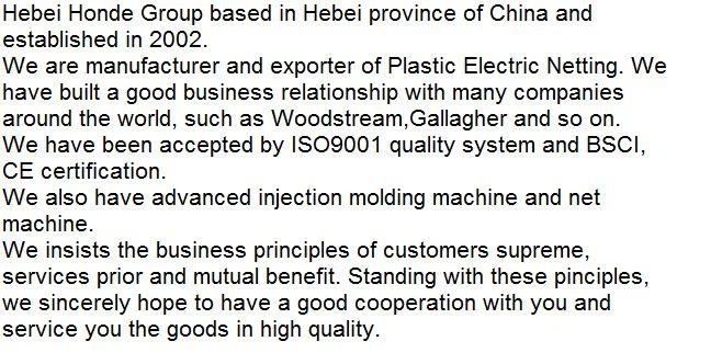 company profile