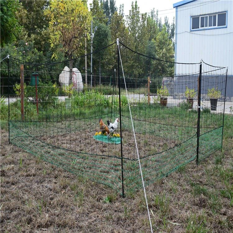 electric poultry netting supply