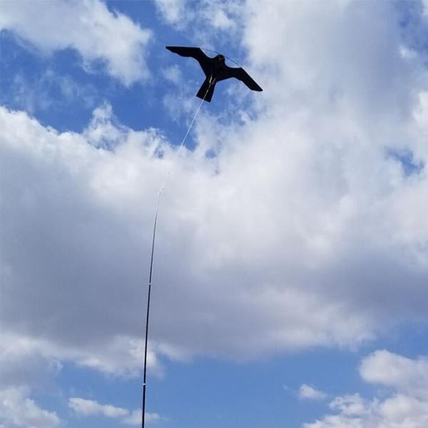 Bird repellent kite3