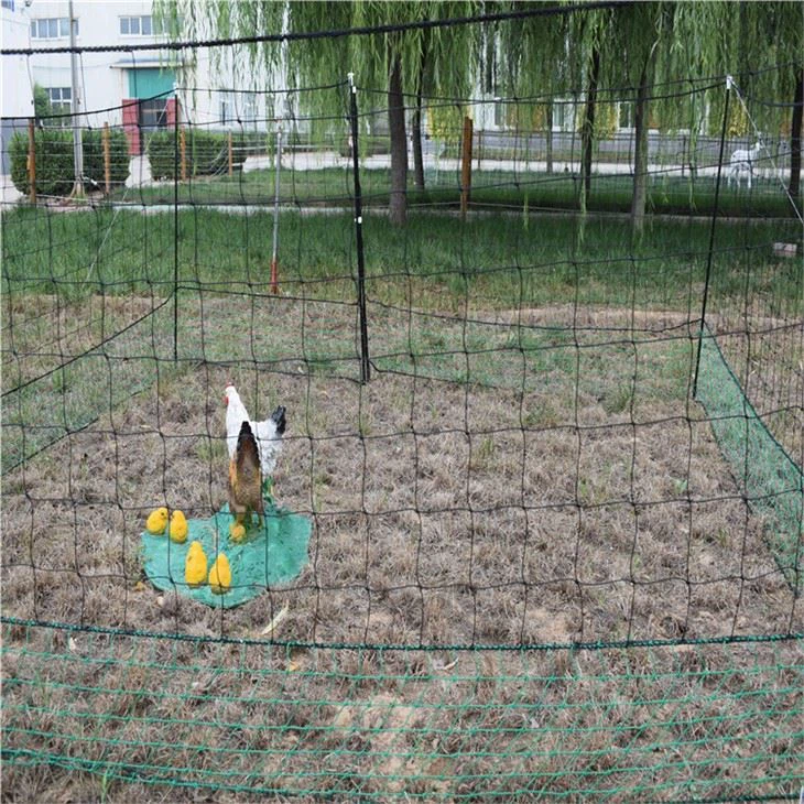 Flexible Chicken Fence Plastic