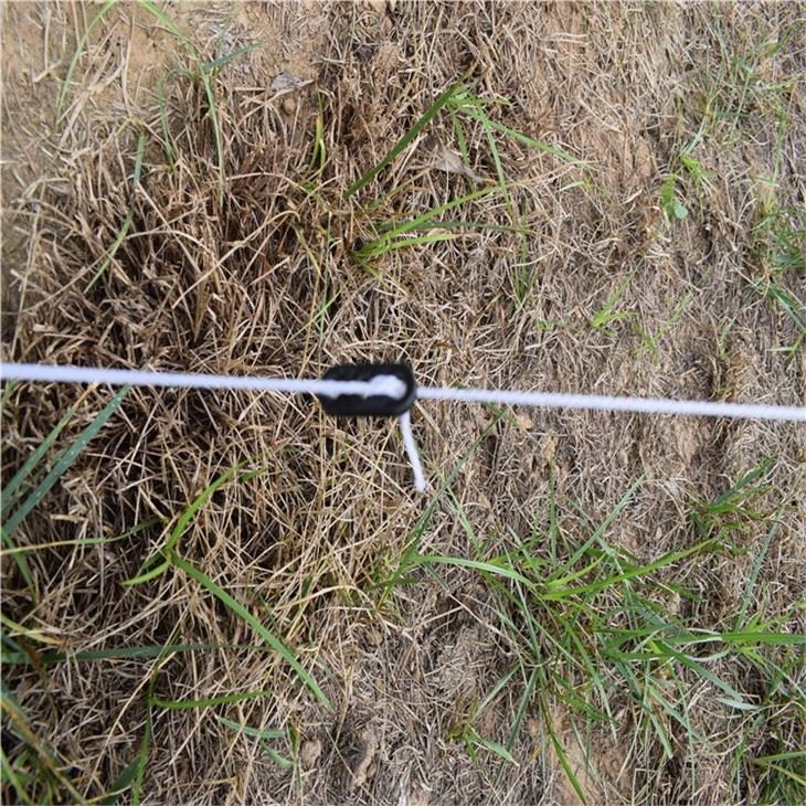 Plastic Chicken Fencing For Saling In 24m