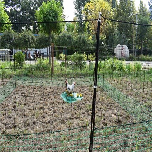 Kloti plastik Plastik pou poul vèt ak nwa