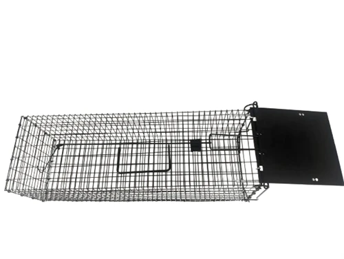 55cm Humane Live Pyèj kaj Pou rat